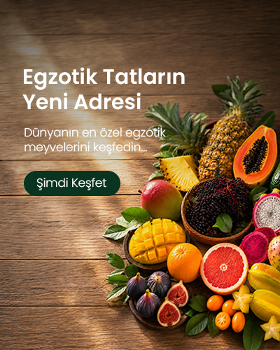 Bizim_tropikal 1