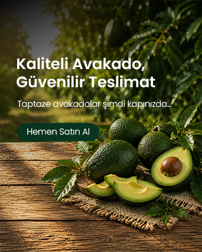 Bizim_tropikal 2