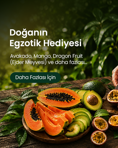 Bizim_tropikal 3