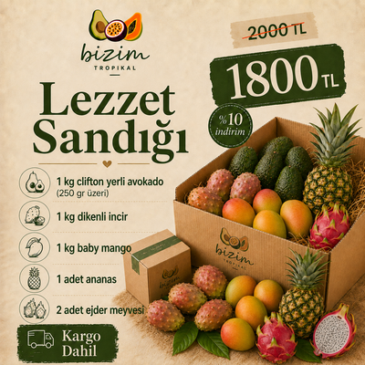 DALINDAN LEZZET SANDIĞI