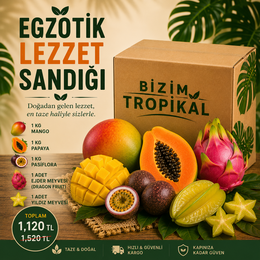 EGZOTİK LEZZET SANDIĞI