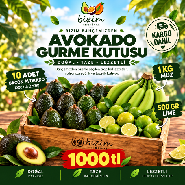 Avokado Gurme Kutusu