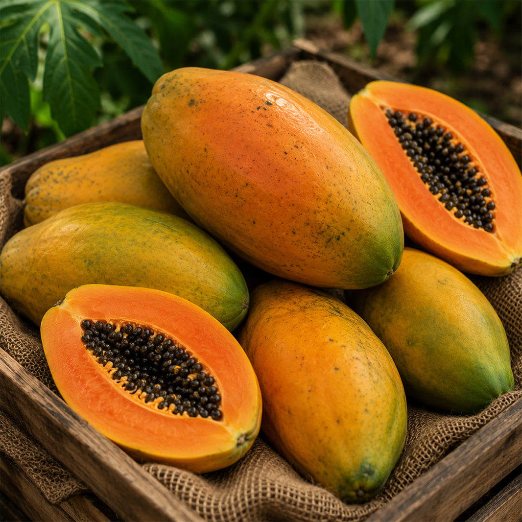 Papaya