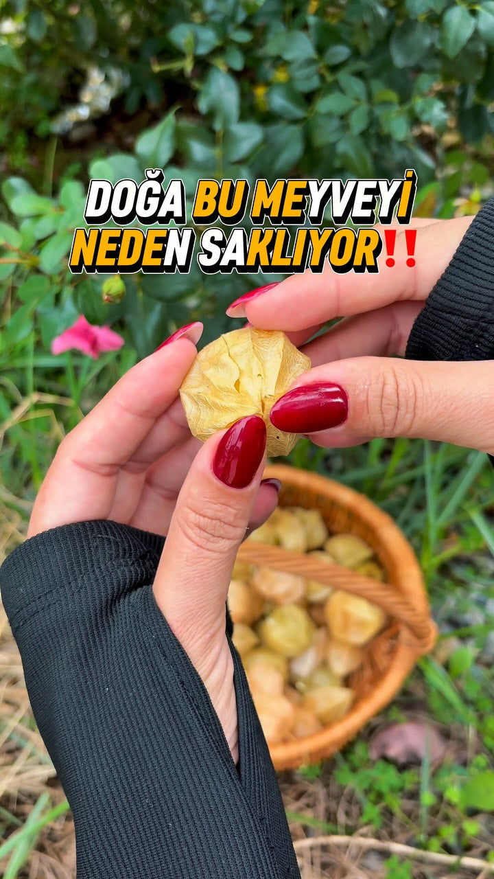 Bizim Tropikal Instagram videosu