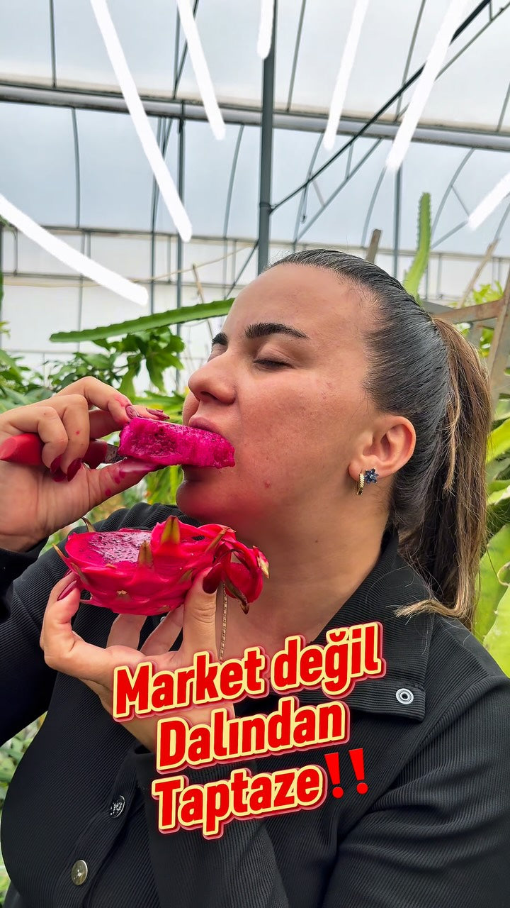Bizim Tropikal Instagram videosu