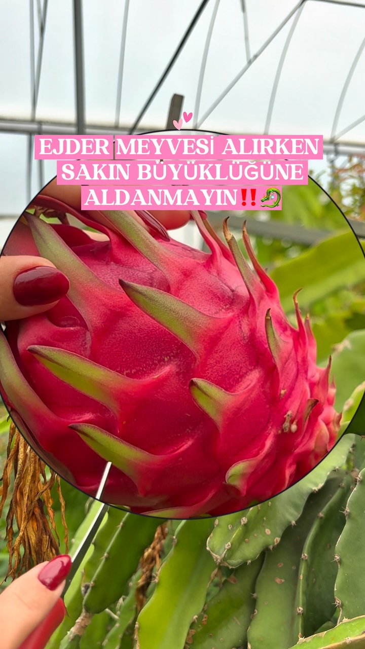Bizim Tropikal Instagram videosu
