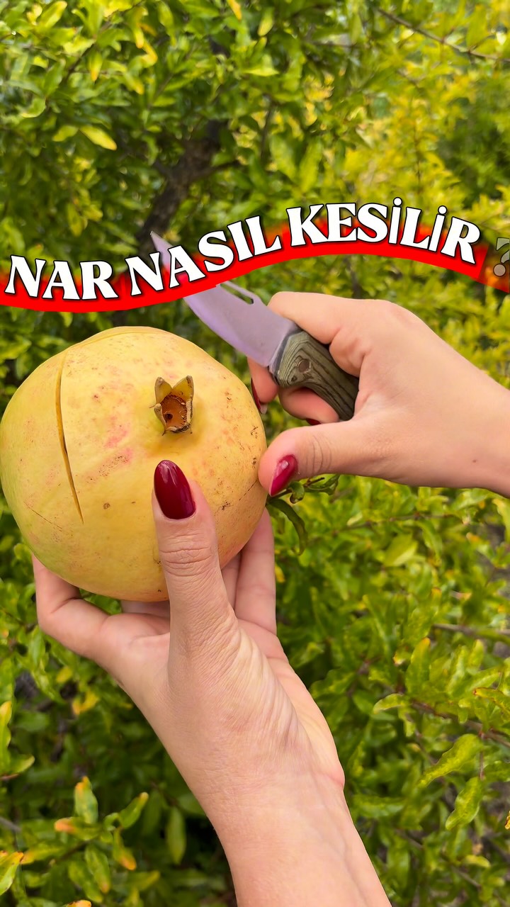 Bizim Tropikal Instagram videosu