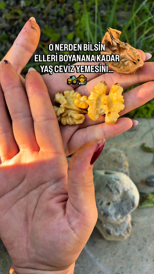 Bizim Tropikal Instagram videosu